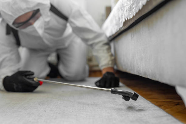 Professional Pest Control technician working in Kit Carson County County, CO